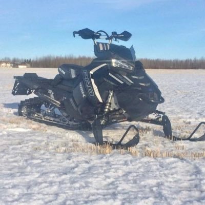 kale_large's profile picture. 