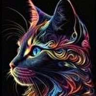 sokakadami73's profile picture. 🇹🇷ATATÜRK aşığı #CHP'li. 
(terazi burcu ⚖)
Hayvanı, doğayı sevmeyen insan degildir. 
#CHP 'li dostlar takipleşelim🇹🇷
#ATATÜRK dostları takipleşelim🇹🇷