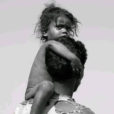 XTOTWITER's profile picture. آزاد تجزیہ کار