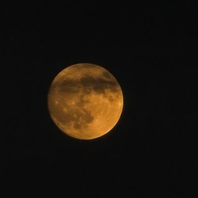 juniSpeaks's profile picture. (hash i + hash i+1)