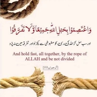 salees_salah's profile picture. Happy
Travel.