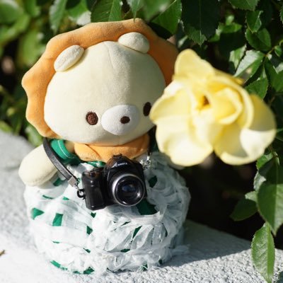 mikokokokokoi's profile picture. ぬいぐるみがよく登場するニートの日常アカウントです。「こわくないね」(@Kowakunaine )🦁🐻🐻‍❄️と万博ドイツ館のサーキュラーちゃん🟣を応援しています