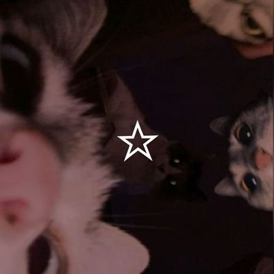 Itz_MeSid's profile picture. 𝘵𝘩𝘦 𝘢𝘶𝘵𝘩𝘰𝘳 𝘰𝘧 𝗠𝘆 𝓕𝓸𝓻𝓫𝓲𝓭𝓭𝓮𝓷 𝗟𝗼𝘃𝗲 𝗳𝗮𝗻𝘁𝗮𝘀𝘆 𝗳𝗼𝗿 𝘆𝗼𝘂.