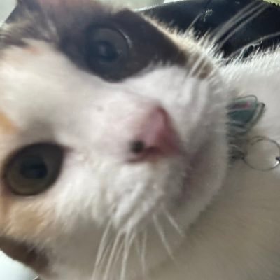 G_hanKa0's profile picture. 