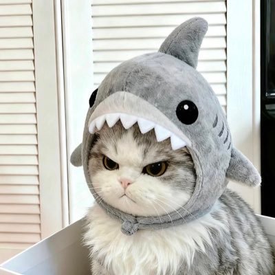 ttaohuu_x's profile picture. เช็คสถานะการสั่งซื้อได้ที่ 💌ྀི⋆: https://t.co/9PKDwKraZN | รีวิว #ttaohxreview | 𐚱⸝⸝อัพเดตที่ #ttaohuxpdate | สินค้าพร้อมส่ง #ttaohureadytoshipkaa ∘ꠋ𓊝