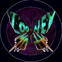 LooneyMoth (@looneymoth) 's Twitter Profile