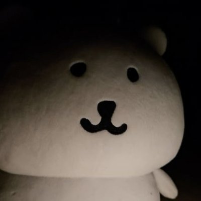 seulgiluvr1000's profile picture. bear