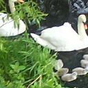 Fiona Palmer - @HEARTDIVA - Twitter