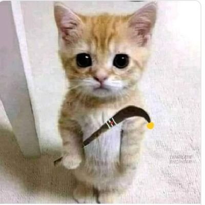 kenji_kekuren's profile picture. பிறப்பால் மனிதன்..மொழியால் தமிழன்....கொள்கையால் திராவிடன்.