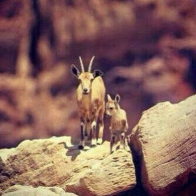 IAuuui59472's profile picture. 