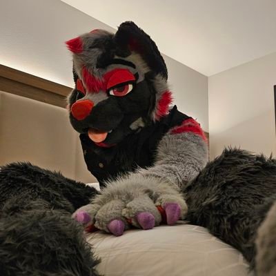 BikoSnep's profile picture. 🔞
literally Just a (slutty) kitty |
A Filipino Bengal Tiger/Snow Leopard Mix!
|29|NB|Pan|Vers|Switch| Expect Nudity, latex and Pawbs 🐾
🇵🇭/🇺🇸