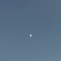 TS (@ts_____) 's Twitter Profile Photo