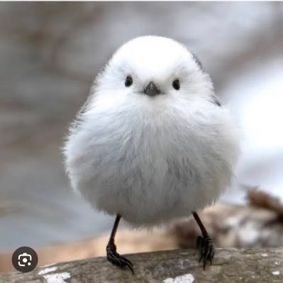 9XkzPzDekY63128's profile picture. マイナスばかり考えて自分が落ちてしまうこと多め。でもプラスの時もありますこんなですがよろしくお願いします