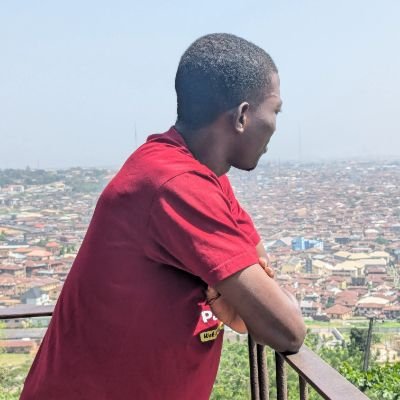 peacegeorgej's profile picture. Web Designer  | Writer|Trader 📊 | Marketing Strategist 🚀 | Helping clients increase online visibilities/sales for better ROI| Building  @rohds_hub RC 7138531