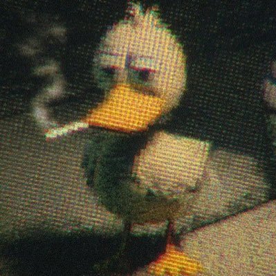 KyloKenn's profile picture. @Halo player for ~ https://t.co/K7Bgev7VLr |