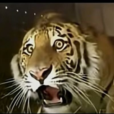 cyberdefenders6's profile picture. Cyber defender • Cyber security expert