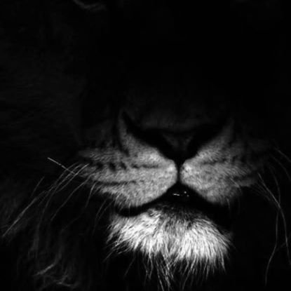 IMeindinyo's profile picture. Exploring the future of Web3 | NFT Enthusiast | Blockchain believer | Building value through innovation, community, and decentralization 🌐💎