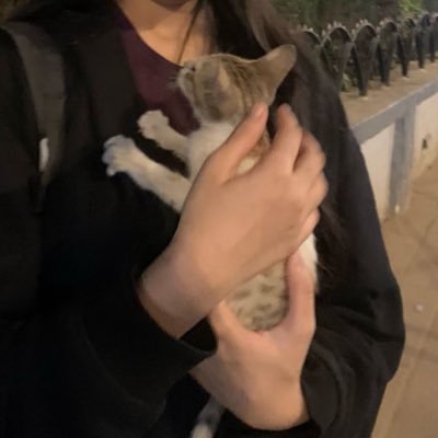 vadapaavvvv's profile picture. mai bachpan se hi bohot hasmukh hu.