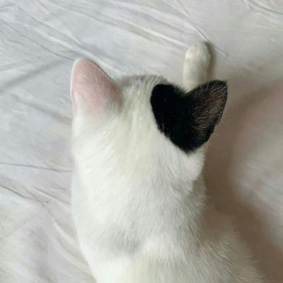 84Eevee3862's profile picture. Does anyone Actually know what ADHD stands for ?  it actually stands for attention Deficit HEY Donuts !!!! 🍩