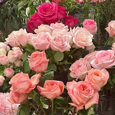 SurajTh69064119's profile picture. 太陽が恋しくて涙を流すと、芸術も恋しくなります