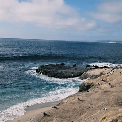 yujsuh's profile picture. 