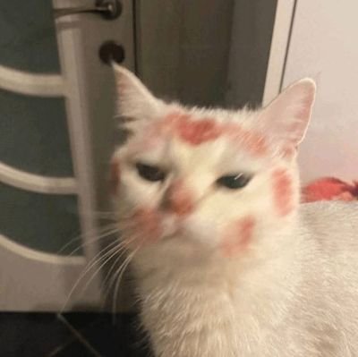 E1Azizi's profile picture. نیتام بهم میگن نیتانیاهو😎
ی معلم بدون حاشیه و فیواستار😶