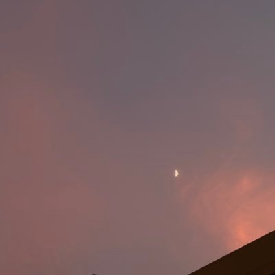 springh__'s profile picture. ごはん