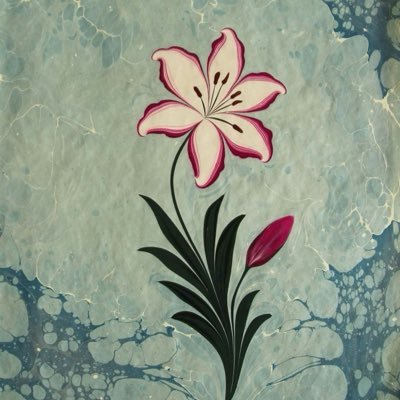 avareyolcu1's profile picture. Gelincik soldu