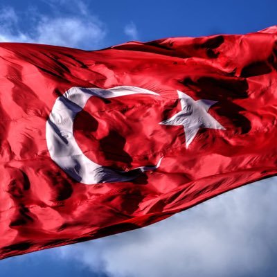 Vedat10045743's profile picture. 