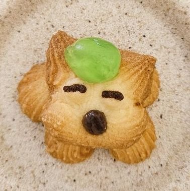 dalxxpippi's profile picture. パン食べながらムキムキになりたいよね

目指すは旅する大食いマッチョ
https://t.co/xRN5zZoqAx