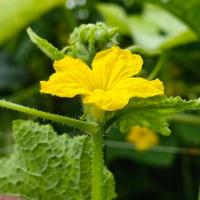 DipokDipok43220's profile picture. 