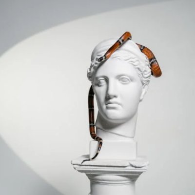 v6479155662845's profile picture. 