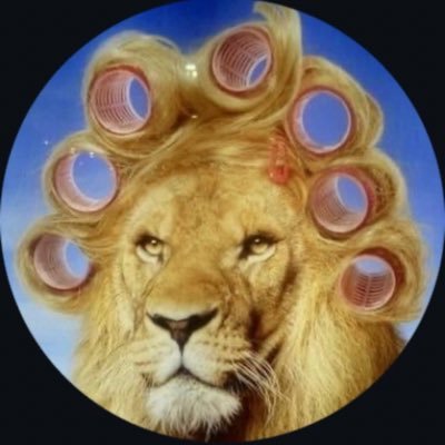 KaySmash24's profile picture. | In my thoughts just like an Anime character🍥| Subject of Ymir | Elsiyan |MUFU OR NOT IDC|