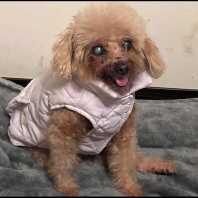 rui_yi2712's profile picture. 