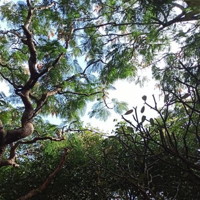 ku4885's profile picture. (⁠•⁠‿⁠•⁠)