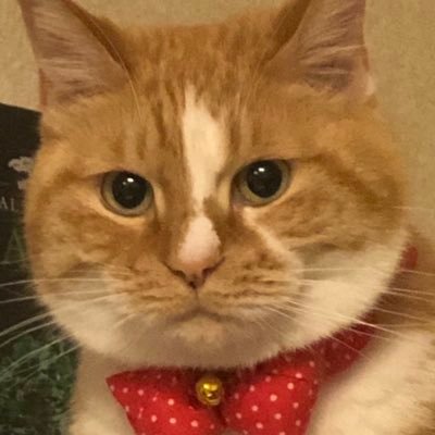 9Ao5h's profile picture. ガンシューとサウナが好きです。よろしくお願いします。