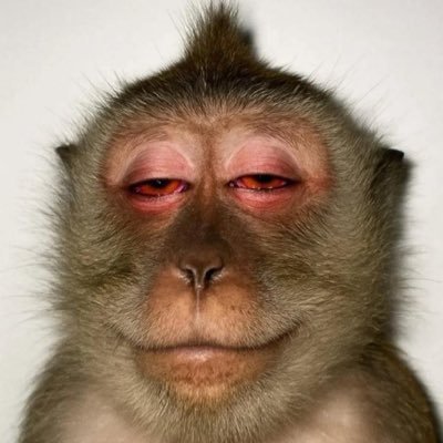 DanielsD36496's profile picture. please guys follow my YouTube channel just for fun I promise 🙏🙏🙏🫶