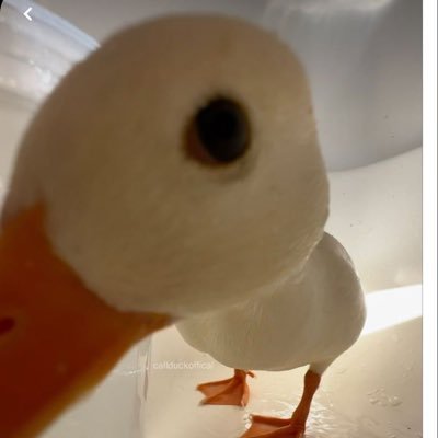 zunduk_x's profile picture. 얼굴맛집