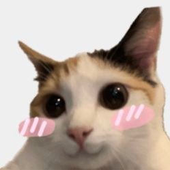 phimchnk124170's profile picture. 