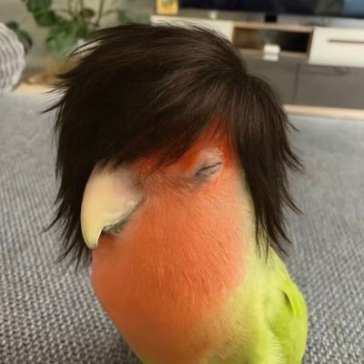 br0dieX's profile picture. 