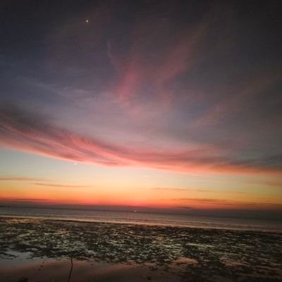 seux_wr's profile picture. A photograph is a beautiful memory — but what about your life? Have you taken a moment to rest yet?