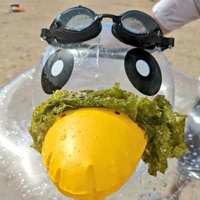 kzy 4484←勝負勘0バカ (@4484Kzy) / Posts / X