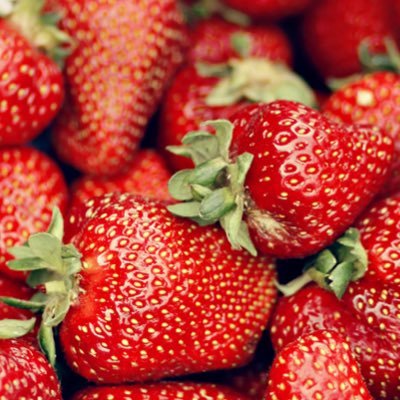 SOksumdrkwO5O2's profile picture. 💓🩷三石琴乃さん（@kotochawanmoon）🩷と❤️緑川光さん（@mdrkw_hikaru）❤️大好きなヲタクの全力応援するアカウント💓🌸多趣味🌸🎙️声優さん🎙️🌏アラフォー🌏