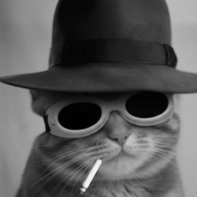 1kiloo1's profile picture. 