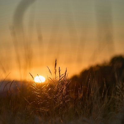 ClassicalChart1's profile picture. Broadly curious, selectively attentive.