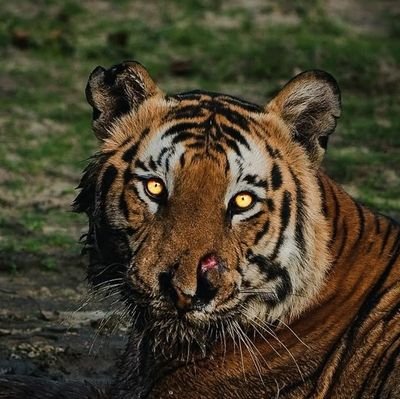 NonKanneda's profile picture. Everything you take, everything you give.