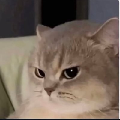 Atharva06905952's profile picture. 