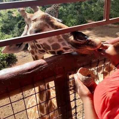 n_mutanu's profile picture. Family woman/
Nature 🍃,
Photography🤳,
Humor😶,
Travel, 
Food.