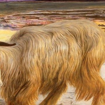 palitonyalo's profile picture. 