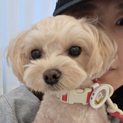 Anna141031's profile picture. 수다쟁이 봄이네 일상이야기✨️ | 종교, 다단계, 섹트 모두 싫어합니다 | #테슬라 #삼성전자 #애플 #도요타 #비트코인 #이더 관심종목 |  

내가 좋아하는거, 즐거운거, 관심있는거, 일상생활 등 대화🫶🏻 | 내 마음 단단해지기 | 나 자신을 사랑해주기💛